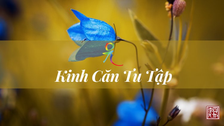 Kinh Căn Tu Tập