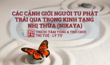 Các Cảnh Giới Người Tu Phật Trải Qua Trong Kinh Tạng Nhị Thừa (Nikaya)
