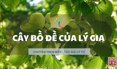 Cây Bồ Đề Của Lý Gia