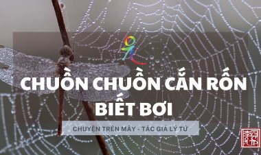 Chuồn Chuồn Cắn Rốn Biết Bơi