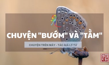 Chuyện Bướm Và Tằm