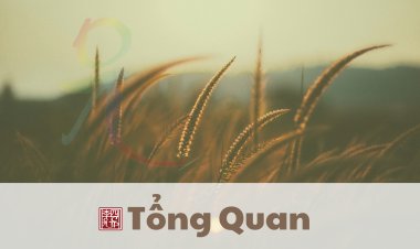 Tổng Quan