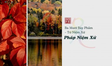 Ba Mươi Bảy Phẩm – Tứ Niệm Xứ – Pháp Niệm Xứ