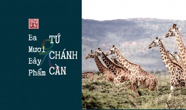 Ba Mươi Bảy Phẩm – Tứ Chánh Cần