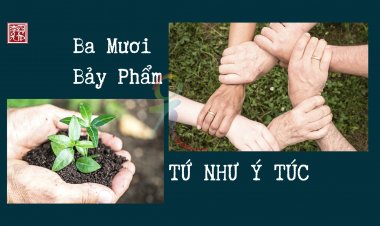 Ba Mươi Bảy Phẩm – Tứ Như Ý Túc
