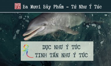 Ba Mươi Bảy Phẩm – Tứ Như Ý Túc – Dục Như Ý Túc, Tinh Tấn Như Ý Túc