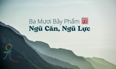 Ba Mươi Bảy Phẩm – Ngũ Căn, Ngũ Lực