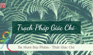 Ba Mươi Bảy Phẩm – Thất Giác Chi – Trạch Pháp Giác Chi