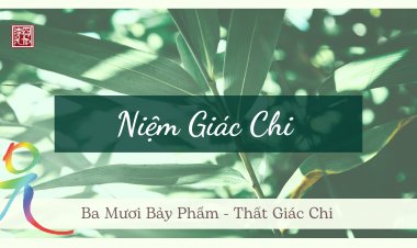 Ba Mươi Bảy Phẩm – Thất Giác Chi – Niệm Giác Chi