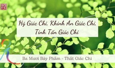 Ba Mươi Bảy Phẩm – Thất Giác Chi – Hỷ Giác Chi, Khinh An Giác Chi, Tinh Tấn Giác Chi