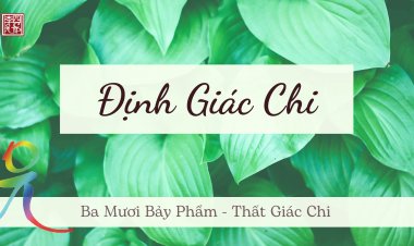 Ba Mươi Bảy Phẩm – Thất Giác Chi – Định Giác Chi