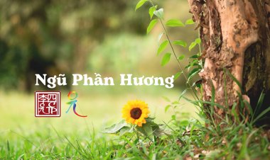 Ngũ Phần Hương