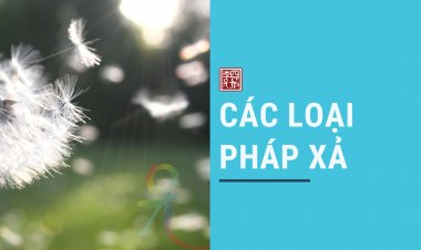 Các Loại Pháp Xả