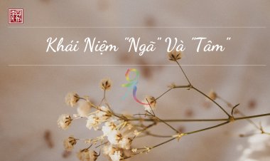 Khái Niệm Ngã và Tâm