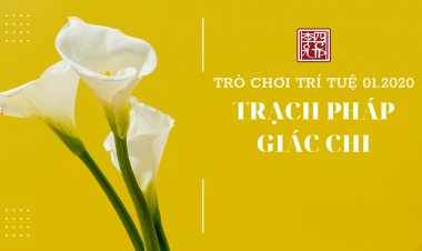Chủ Đề: Trạch Pháp Giác Chi