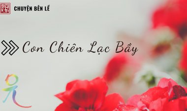 Con Chiên Lạc Bầy