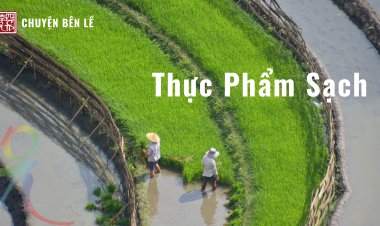 Thực Phẩm Sạch