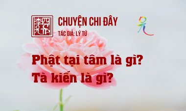 Phật Tại Tâm Là Gì? Tà Kiến Là Gì?