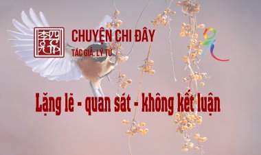 Lặng Lẽ - Quan Sát - Không Kết Luận