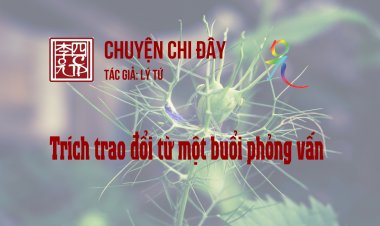Trích Trao Đổi Từ Một Buổi Phỏng Vấn