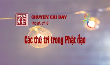 Các Thứ Trí Trong Phật Đạo