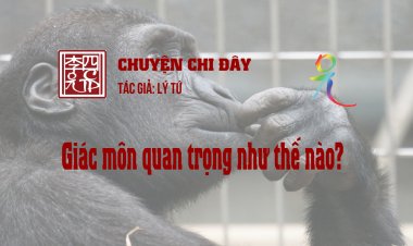 Giác Môn Quan Trọng Như Thế Nào?