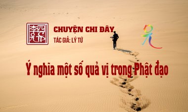 Ý Nghĩa Một Số Quả Vị Trong Phật Đạo