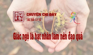 Giác Ngộ Là Hạt Nhân Làm Nên Đạo Quả