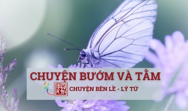 Chuyện Bướm Và Tằm