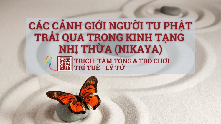 Các Cảnh Giới Người Tu Phật Trải Qua Trong Kinh Tạng Nhị Thừa (Nikaya)