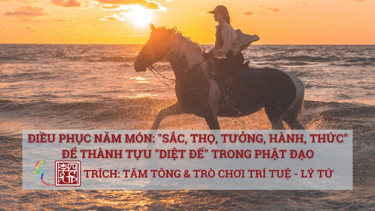 Điều Phục Năm Món Sắc, Thọ, Tưởng, Hành, Thức Để Thành Tựu Diệt Đế Trong Phật Đạo