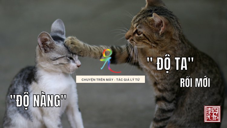 Độ Ta Rồi Mới "Độ Nàng"