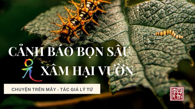 Cảnh Báo "Bọn Sâu Xâm Hại Vườn"