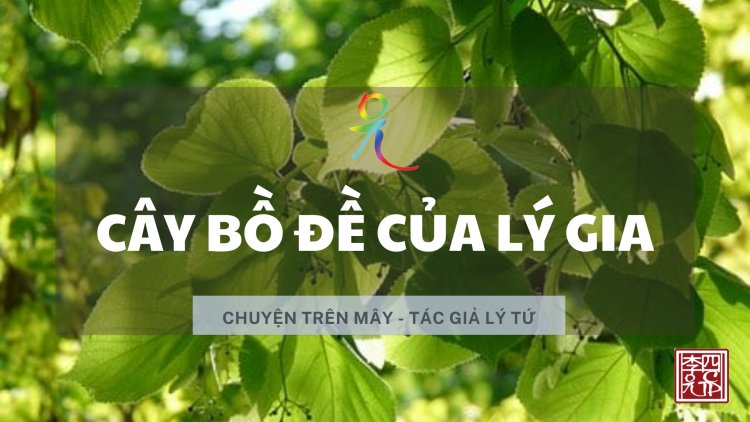 Cây Bồ Đề Của Lý Gia