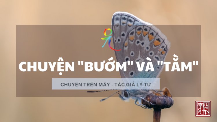 Chuyện Bướm Và Tằm