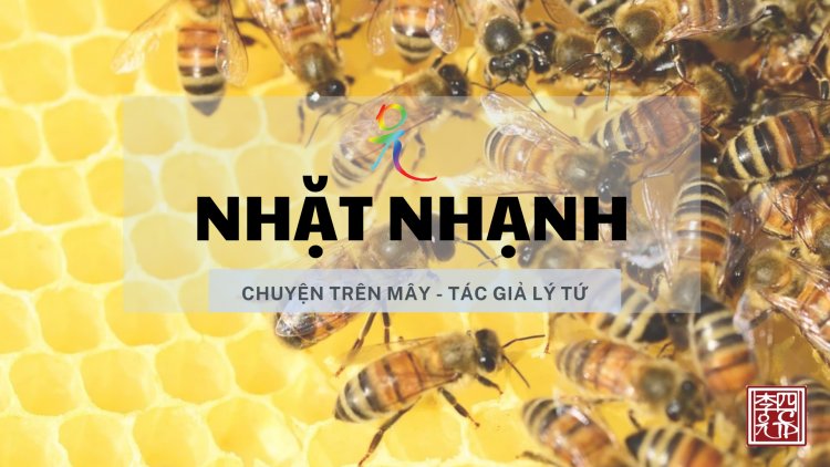Nhặt Nhạnh
