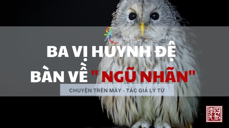Ba Vị Huynh Đệ Luận Về "Ngũ Nhãn"