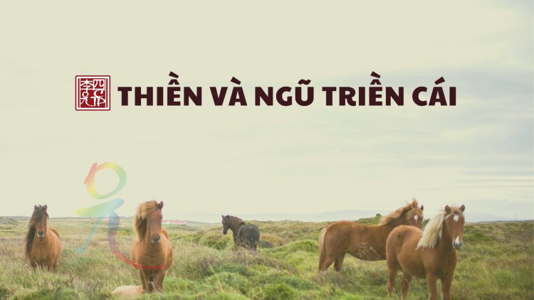 Thiền Và Ngũ Triền Cái