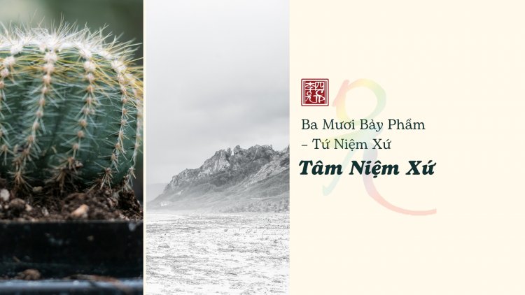 Ba Mươi Bảy Phẩm – Tứ Niệm Xứ – Tâm Niệm Xứ