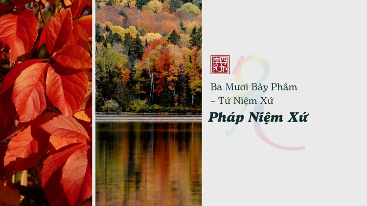Ba Mươi Bảy Phẩm – Tứ Niệm Xứ – Pháp Niệm Xứ