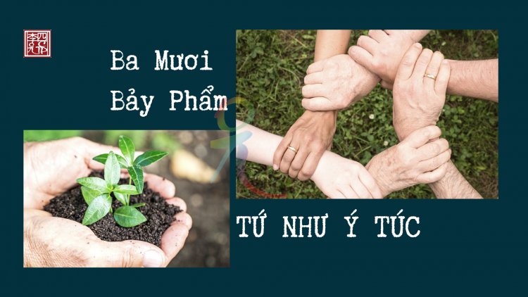 Ba Mươi Bảy Phẩm – Tứ Như Ý Túc