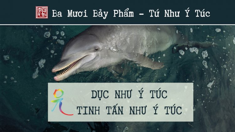 Ba Mươi Bảy Phẩm – Tứ Như Ý Túc – Dục Như Ý Túc, Tinh Tấn Như Ý Túc