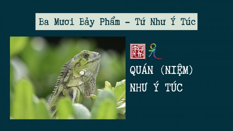 Ba Mươi Bảy Phẩm – Tứ Như Ý Túc – Quán (Niệm) Như Ý Túc