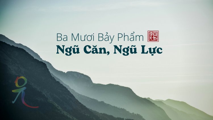 Ba Mươi Bảy Phẩm – Ngũ Căn, Ngũ Lực