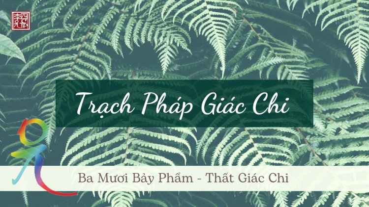 Ba Mươi Bảy Phẩm – Thất Giác Chi – Trạch Pháp Giác Chi
