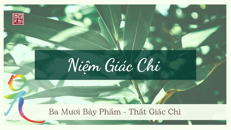 Ba Mươi Bảy Phẩm – Thất Giác Chi – Niệm Giác Chi