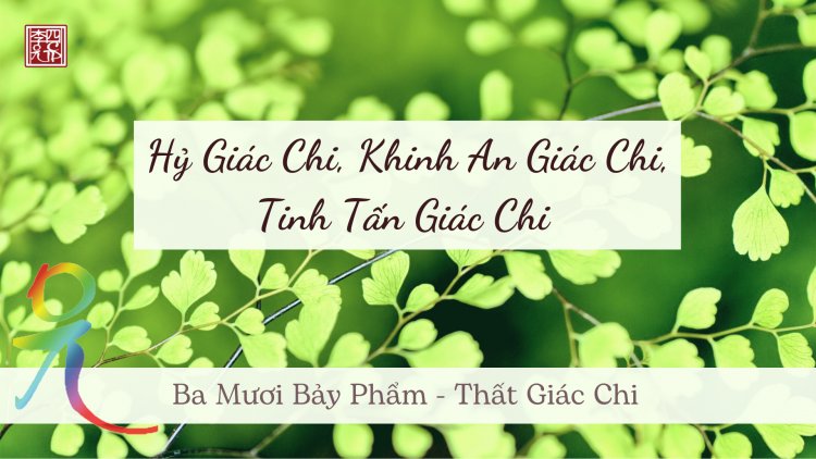 Ba Mươi Bảy Phẩm – Thất Giác Chi – Hỷ Giác Chi, Khinh An Giác Chi, Tinh Tấn Giác Chi