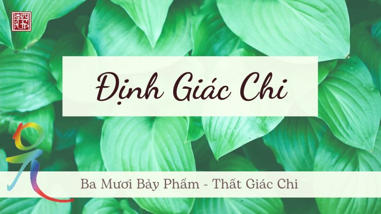 Ba Mươi Bảy Phẩm – Thất Giác Chi – Định Giác Chi