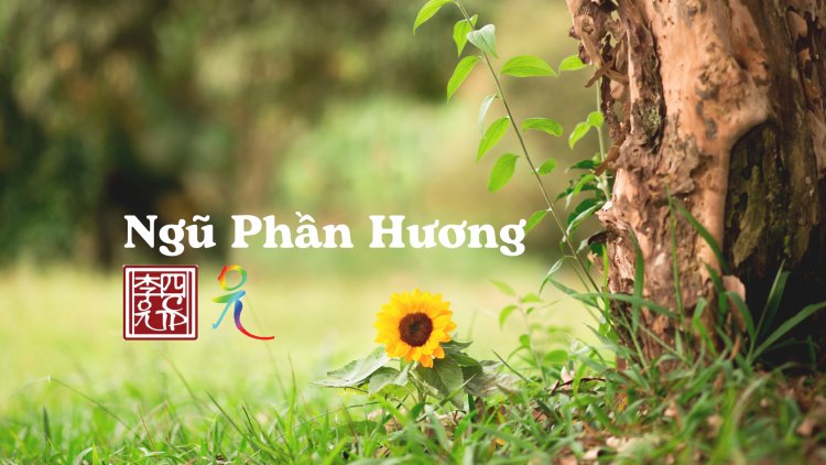 Ngũ Phần Hương