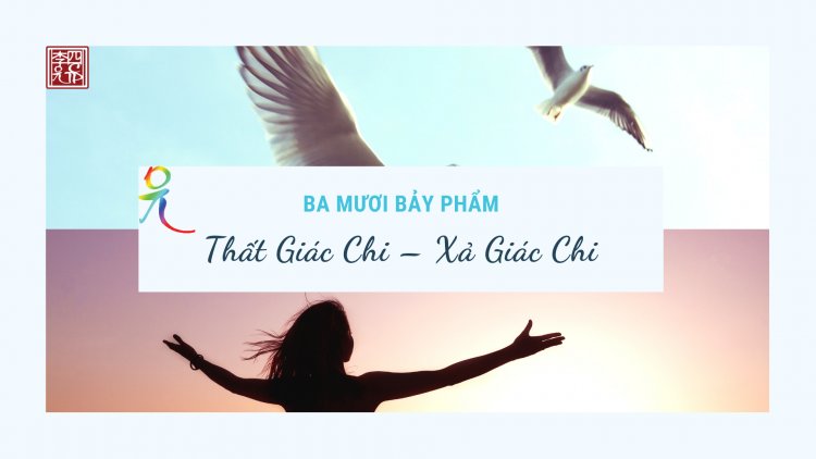 Ba Mươi Bảy Phẩm – Thất Giác Chi – Xả Giác Chi